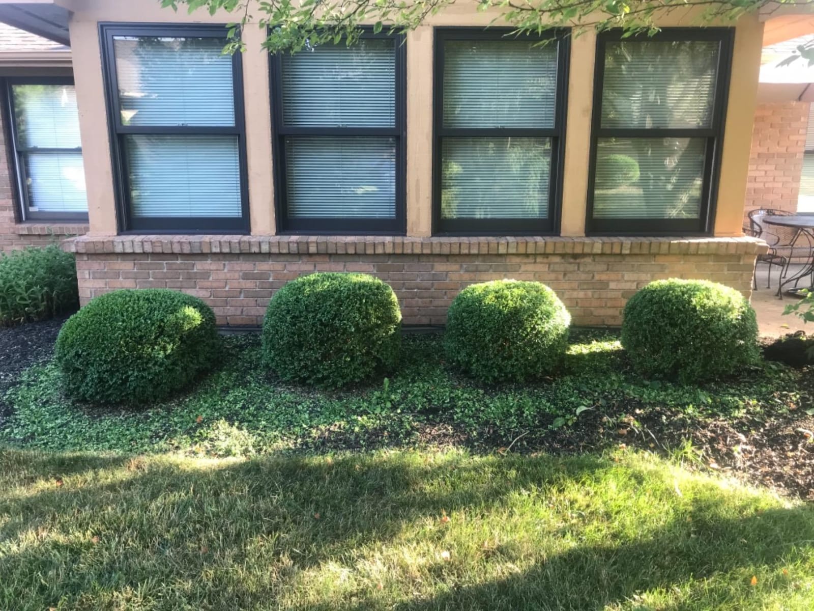Milwaukee Electric Tools 2726-20 FUEL Hedge Trimmer customer photo 2