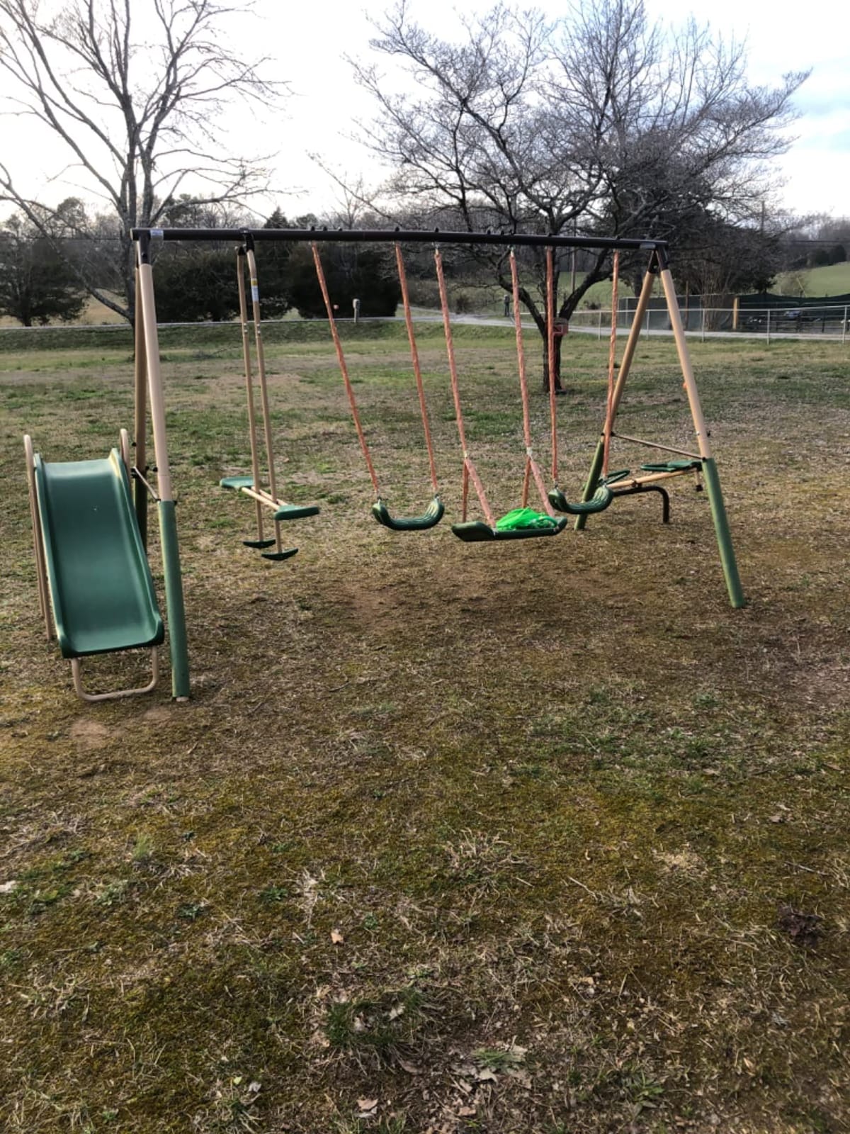 XDP Recreation Crestview Metal Swing Set with 2 Swings & Slide, Green/Tan customer photo 1