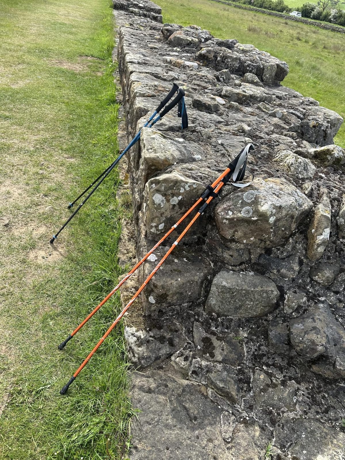 Covacure Hiking Poles Collapsible, 7075 Aluminum Trekking Poles, 2-Pack customer photo 1