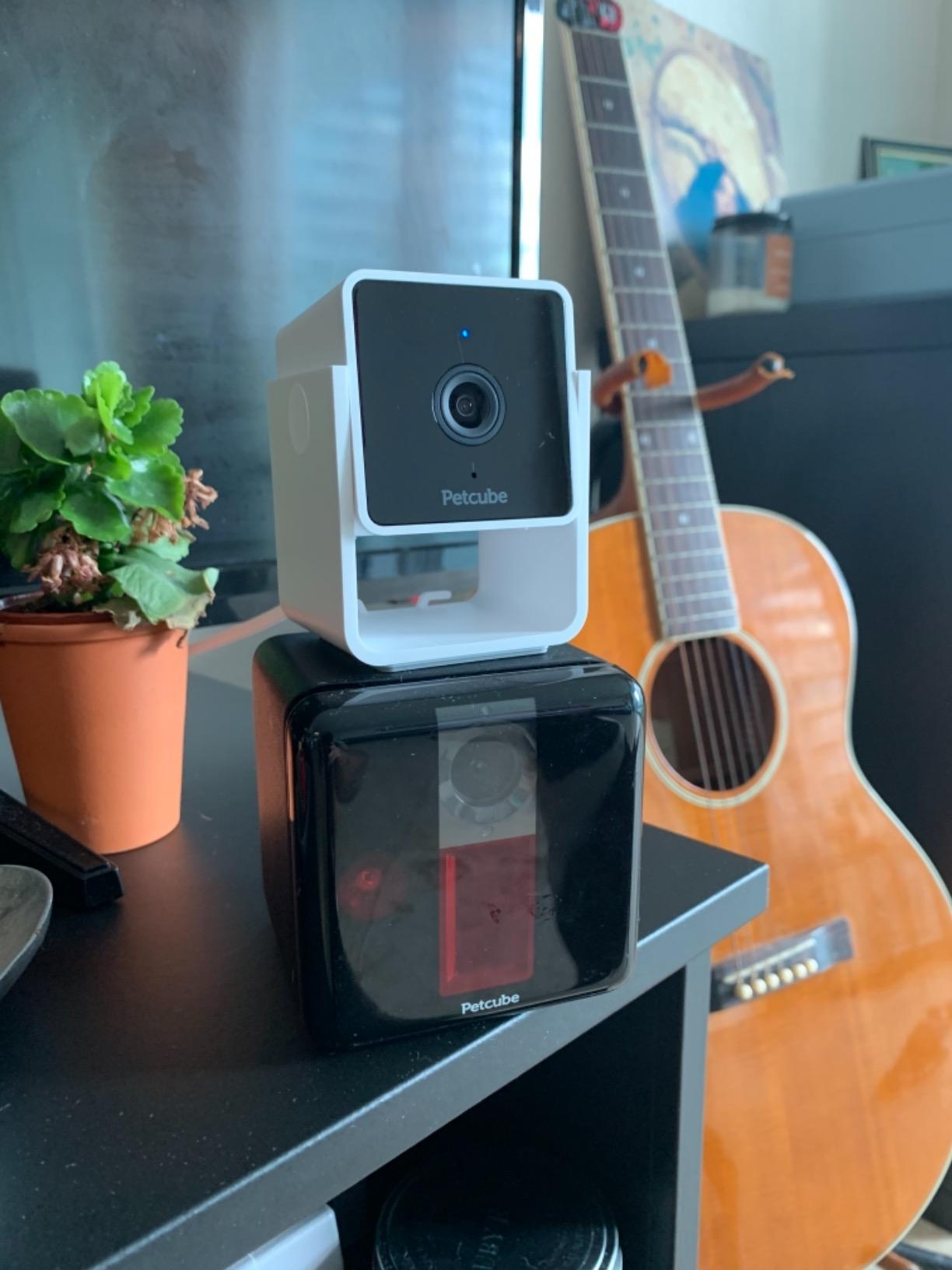 Petcube Cam – Indoor Wi-Fi Pet & Security Camera with App customer photo 2
