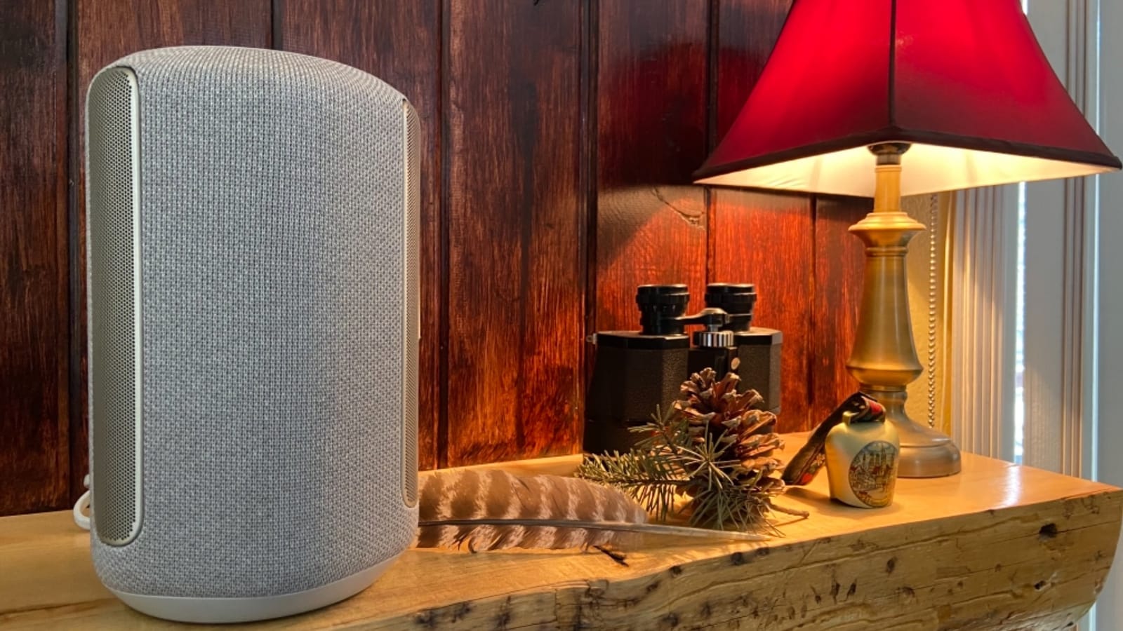 Sony SRS-RA3000 360 Reality Audio Wi-Fi / Bluetooth Wireless Speaker, Works with Alexa and Google Assistant, Light Gray customer photo 1