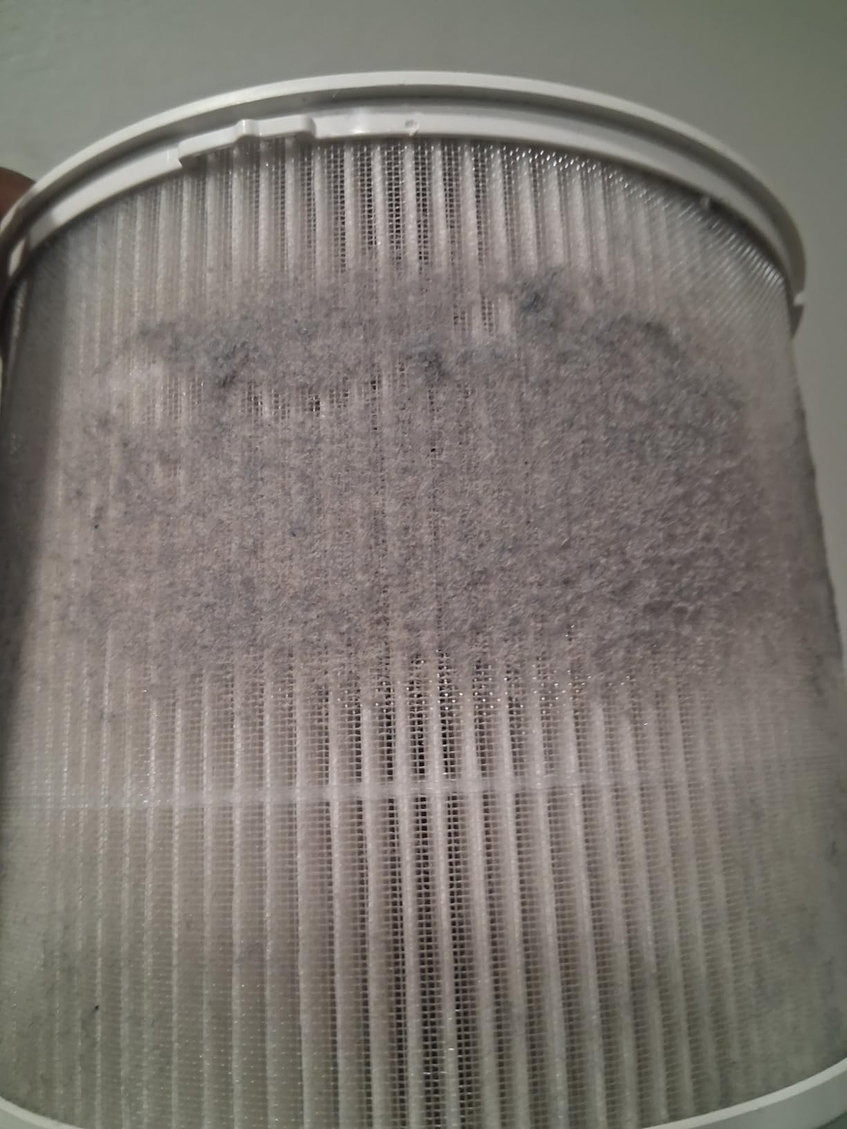 Clorox Small Room Air Purifiers for Bedroom Home, True HEPA Filter | 200 Sq Ft | Reduces 99.9% of Mold, Viruses, Wildfire Smoke, Allergens, Pet Allergies, Dust | Auto Mode | Whisper Quiet customer photo 1