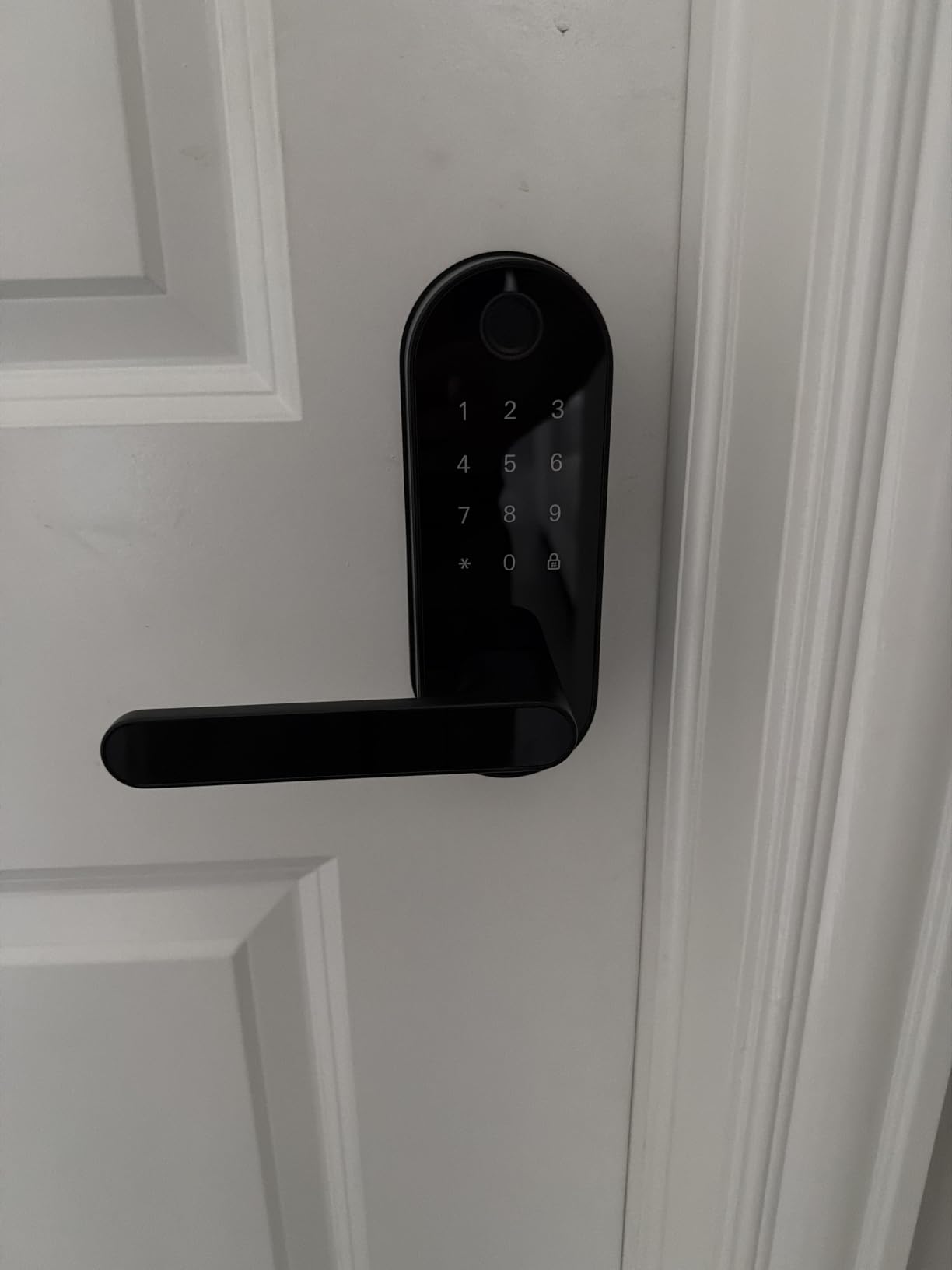 Fingerprint Smart Door Lock with Handle & Keypad - Bluetooth Keyless Entry for Front Door, Home, Kids, Guests, Airbnb & Rental, App + Code Access, Compatible with Alexa & Google, Easy DIY Install customer photo 1