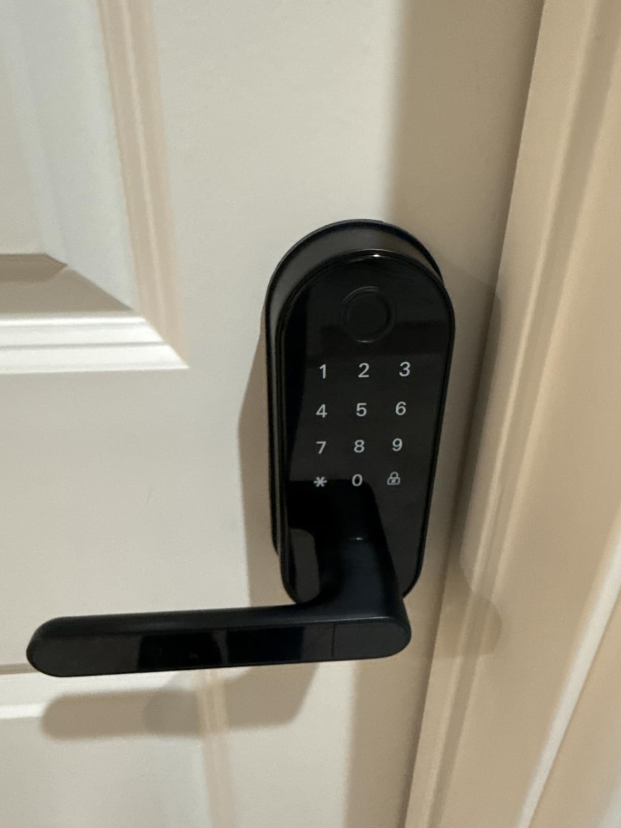 Fingerprint Smart Door Lock with Handle & Keypad - Bluetooth Keyless Entry for Front Door, Home, Kids, Guests, Airbnb & Rental, App + Code Access, Compatible with Alexa & Google, Easy DIY Install customer photo 2
