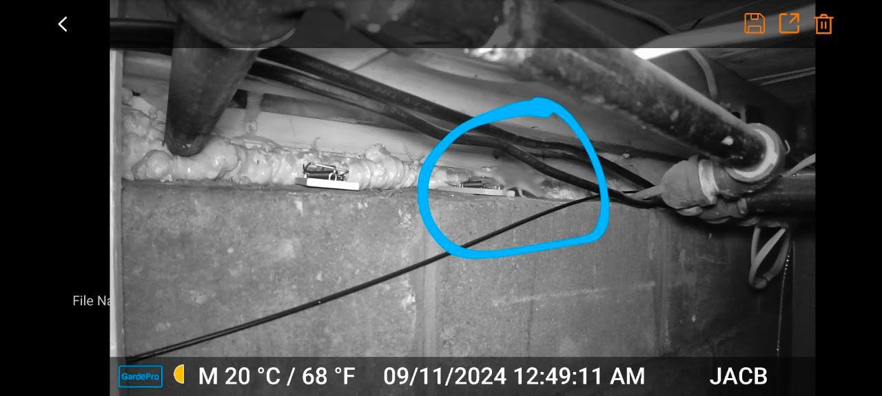 GardePro E6+ WiFi Bluetooth Trail Camera, Dual Antennas | Stable Connection, On-Site App Viewing, 110° Wide-Angle, No-Glow Night Vision, Motion Activated, Non-Cellular customer photo 2