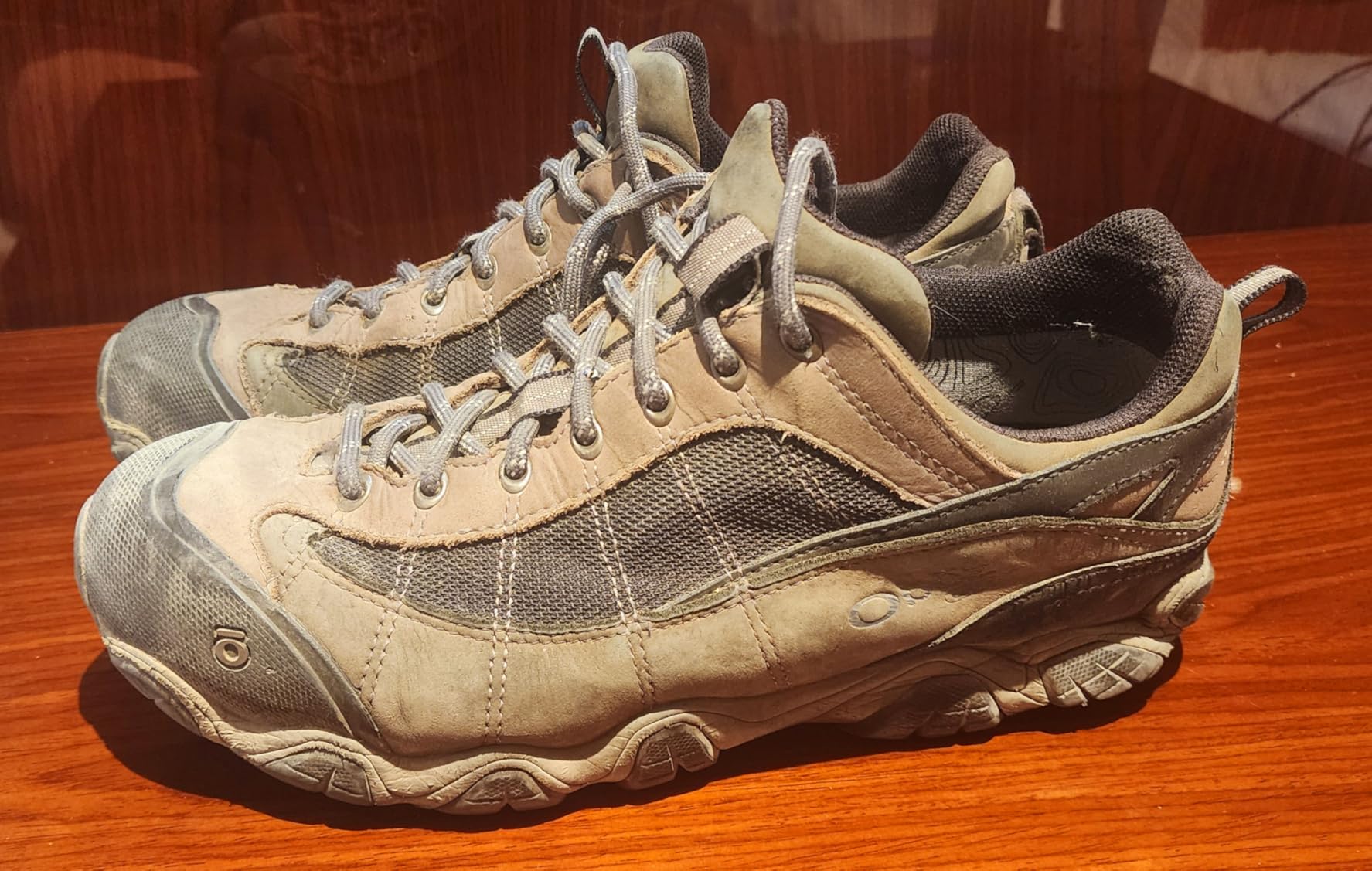 Oboz Men's Firebrand II Low B-Dry, Earth, 7.5 Wide customer photo 2