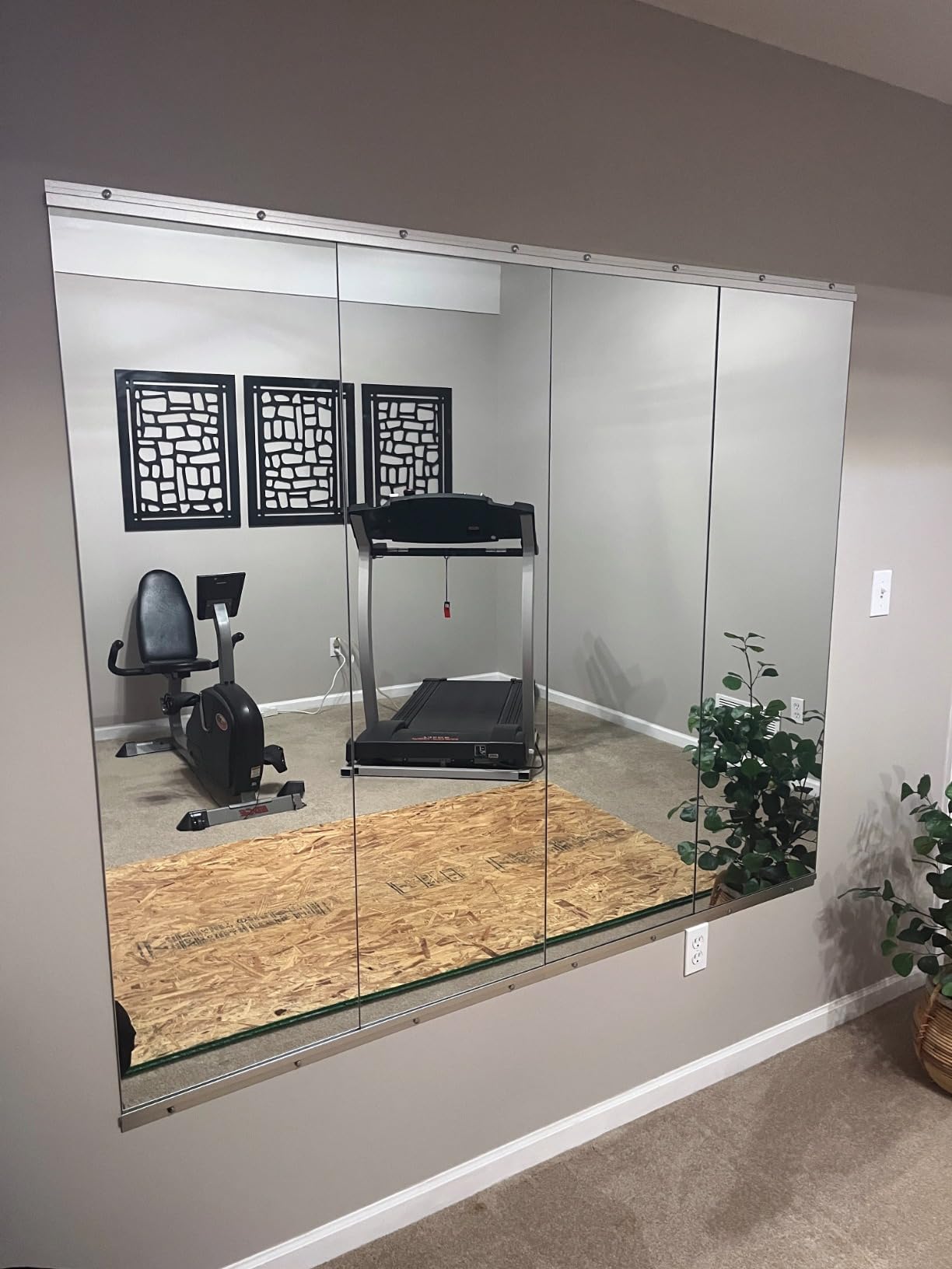 pertetey 56 x 16 in Home Gym Mirrors, Frameless, 2-Pack customer photo 1