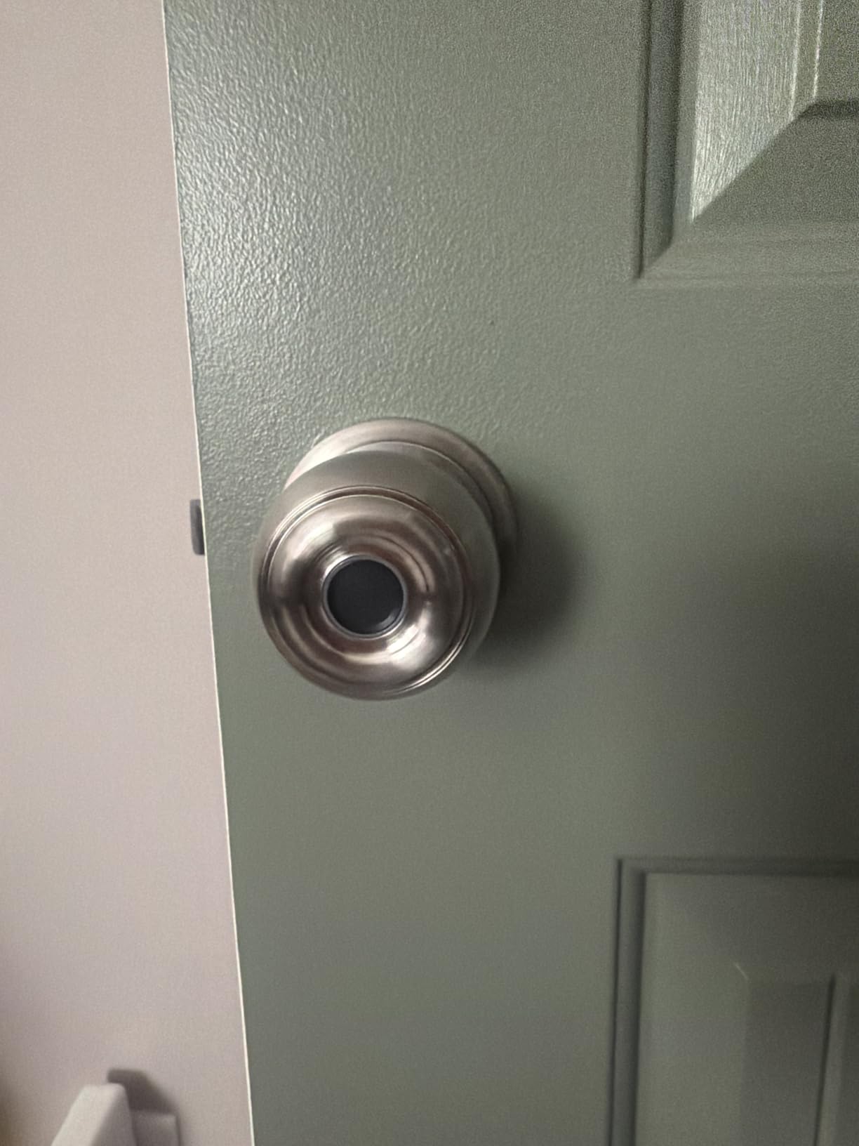 Fingerprint Door Lock, Smart Fingerprint Door Knob with Lock, Silver | Digital Door Lock with App Control & Key, Keyless Biometric Entry Door Locks for Bedrooms, Front Door, Home, Apartment, Office customer photo 1