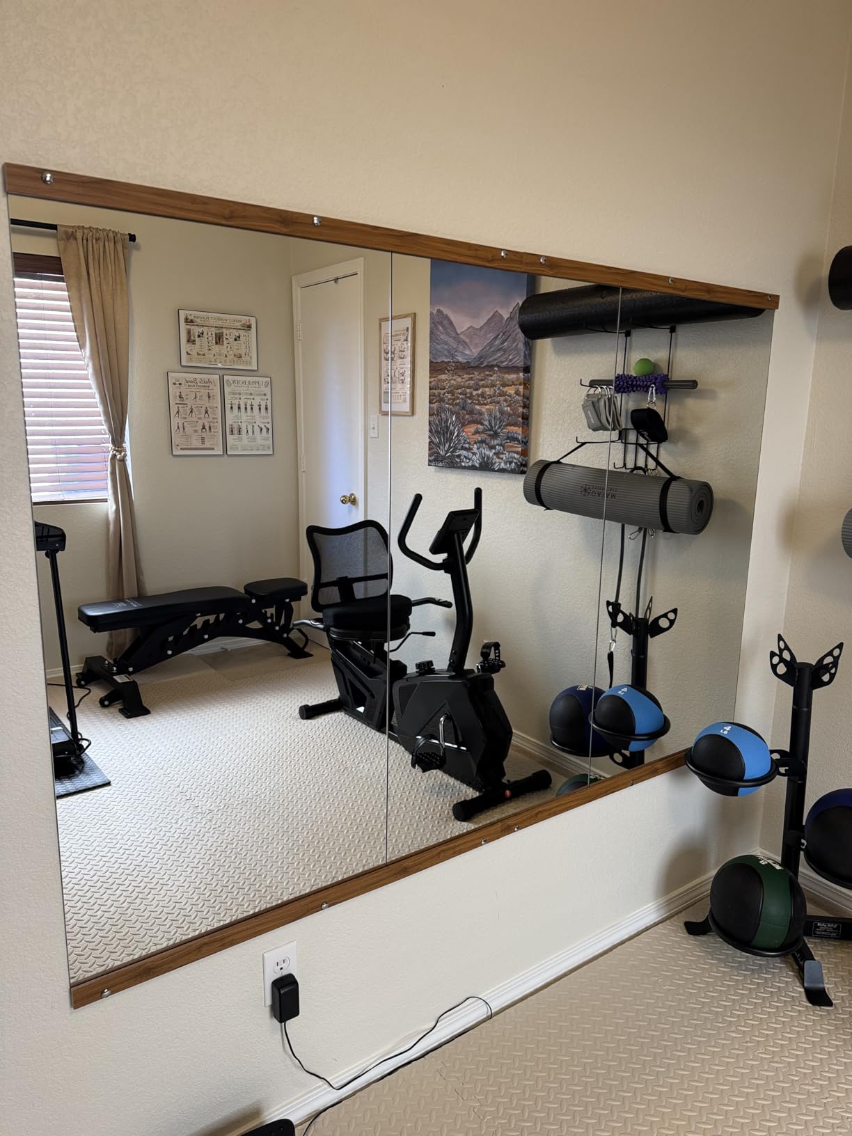 Hasipu Home Gym Mirror 55