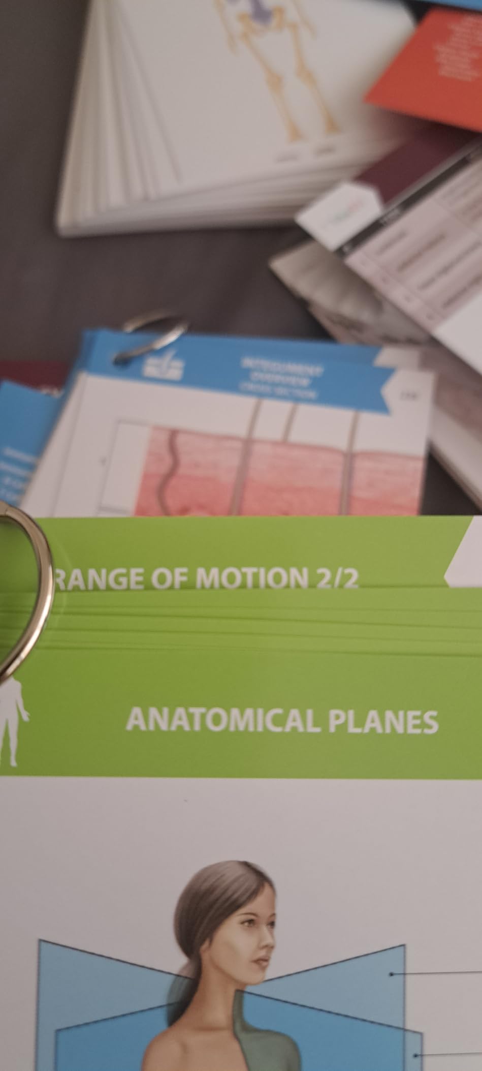 TribeRN Anatomy and Physiology Flash Cards - 320 Study Resources for Students - Human Anatomy & Physiology Study Tools - Medical, Nursing School Essentials customer photo 2