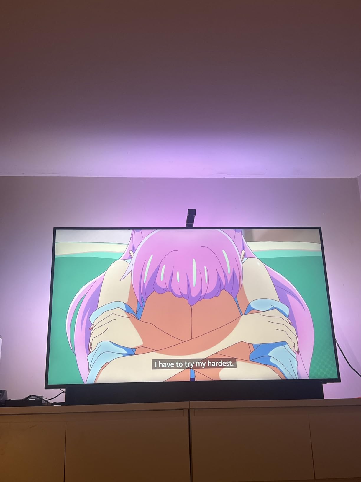 Govee TV Backlight 3 Lite, 7.8ft LED Strip Lights Sync with 40-50 Inch TVs customer photo 1