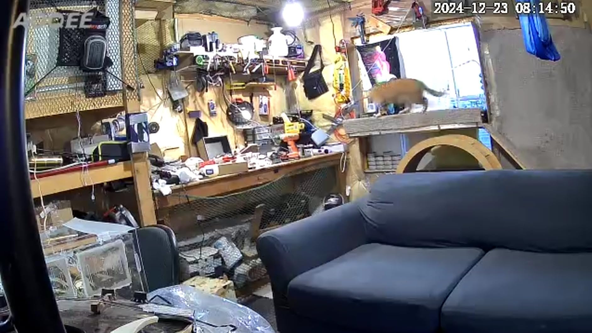 AOQEE 2K Indoor/Outdoor Camera, IP65 Water Resistant & White Light, C1 4Pcs customer photo 1
