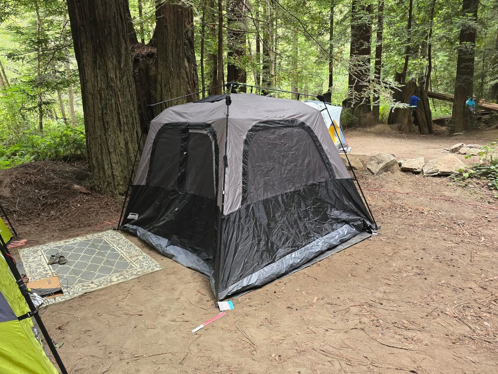 Coleman 4/6/8/10 Person Instant Camping Tent with 1-Minute Setup customer photo 1