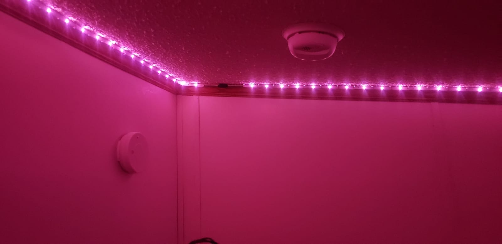 Led Lights for Bedroom 100FT Smart IC+RGB Strip Lights customer photo 2