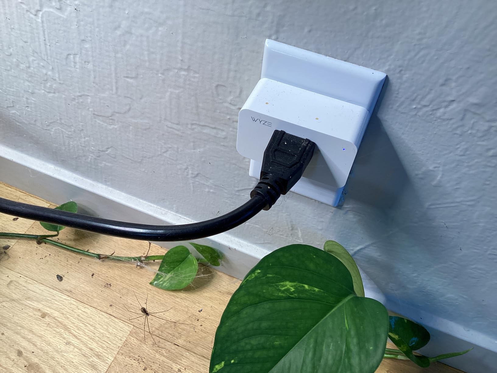 Wyze Smart Plug 2.4GHz Wi-Fi Outlet, Certified for Humans, 2-Pack customer photo 1