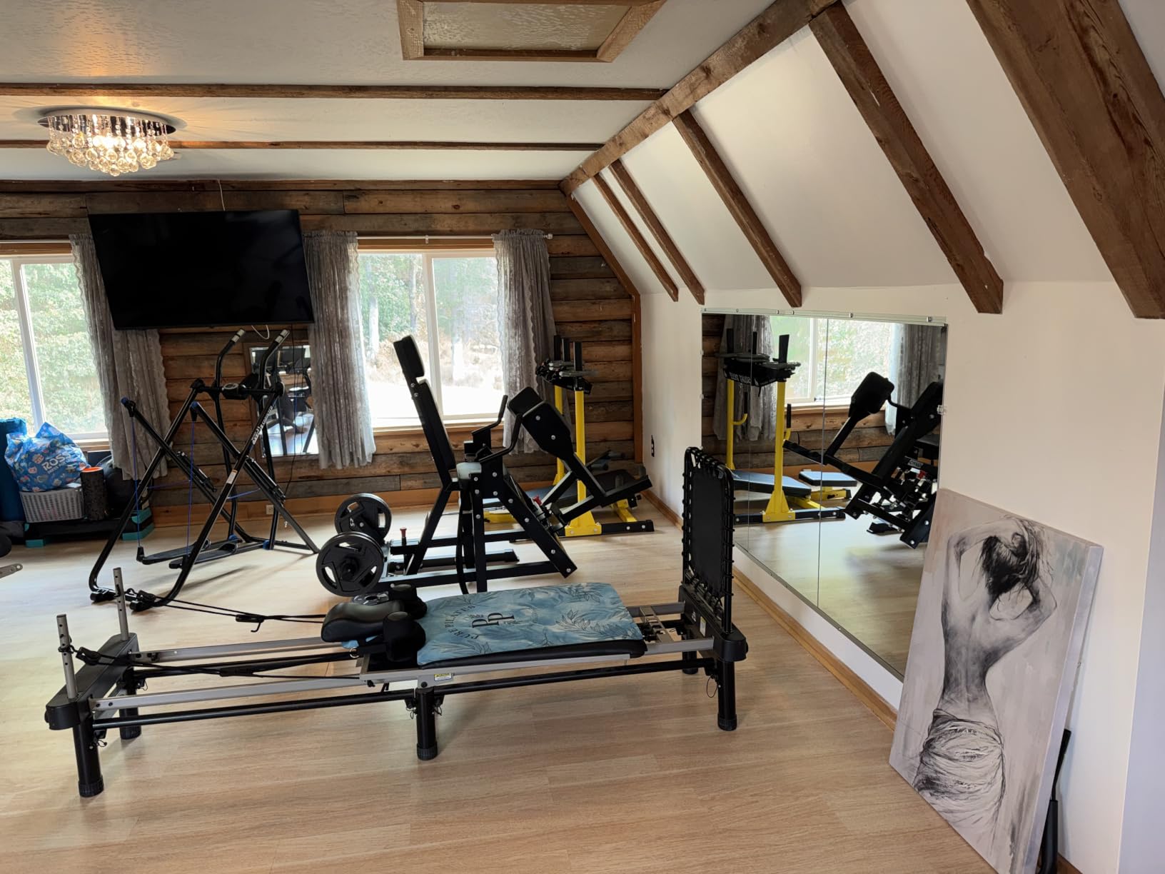 LOAAO Home Gym Mirror 48