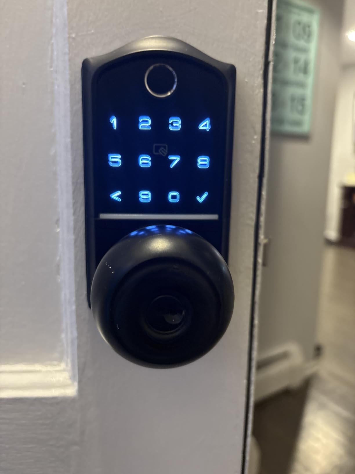 Veise VE018 Fingerprint Keypad Smart Door Knob Handle Lock, Matte Black customer photo 1