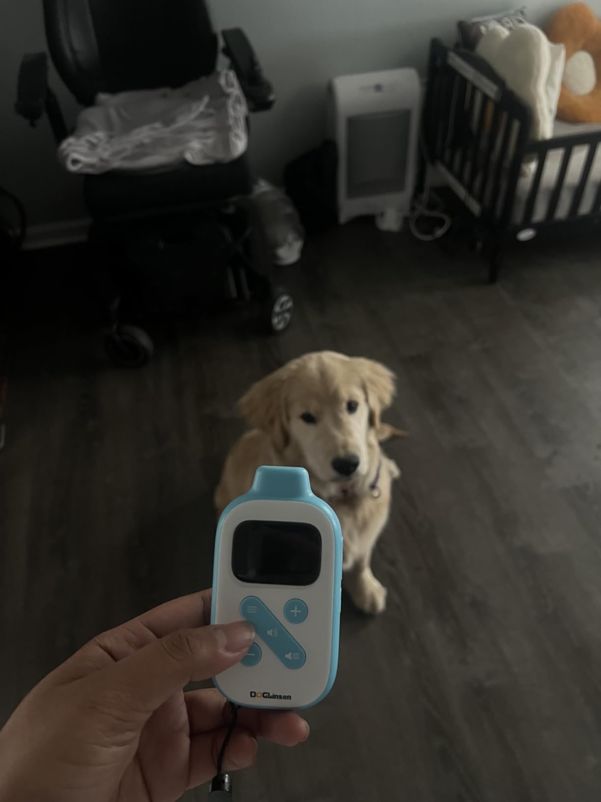 No Shock Dog Training Collar, Beep and Vibrating Dog Collar with Remote 2800Ft, Vibration Collar for Small Medium Large Dogs - No Prongs customer photo 1