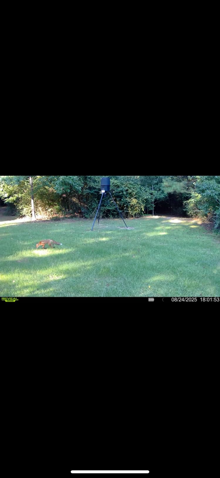 TACTACAM Reveal X 3.0 2-Pack Cellular Trail Camera customer photo 2