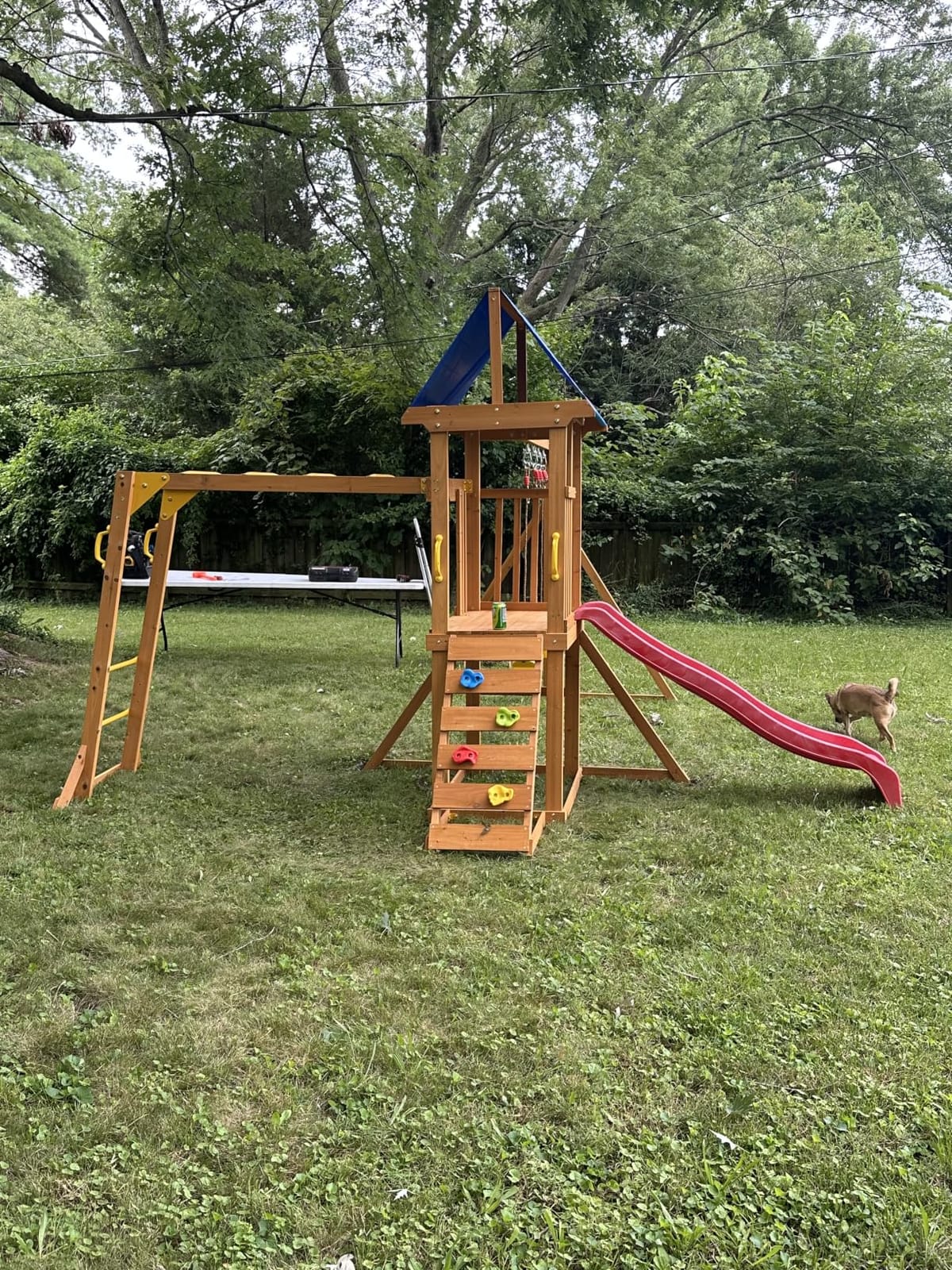 Wooden Swing Sets for Backyard with Monkey Bar, Outdoor Playset for Age 3-6 customer photo 1