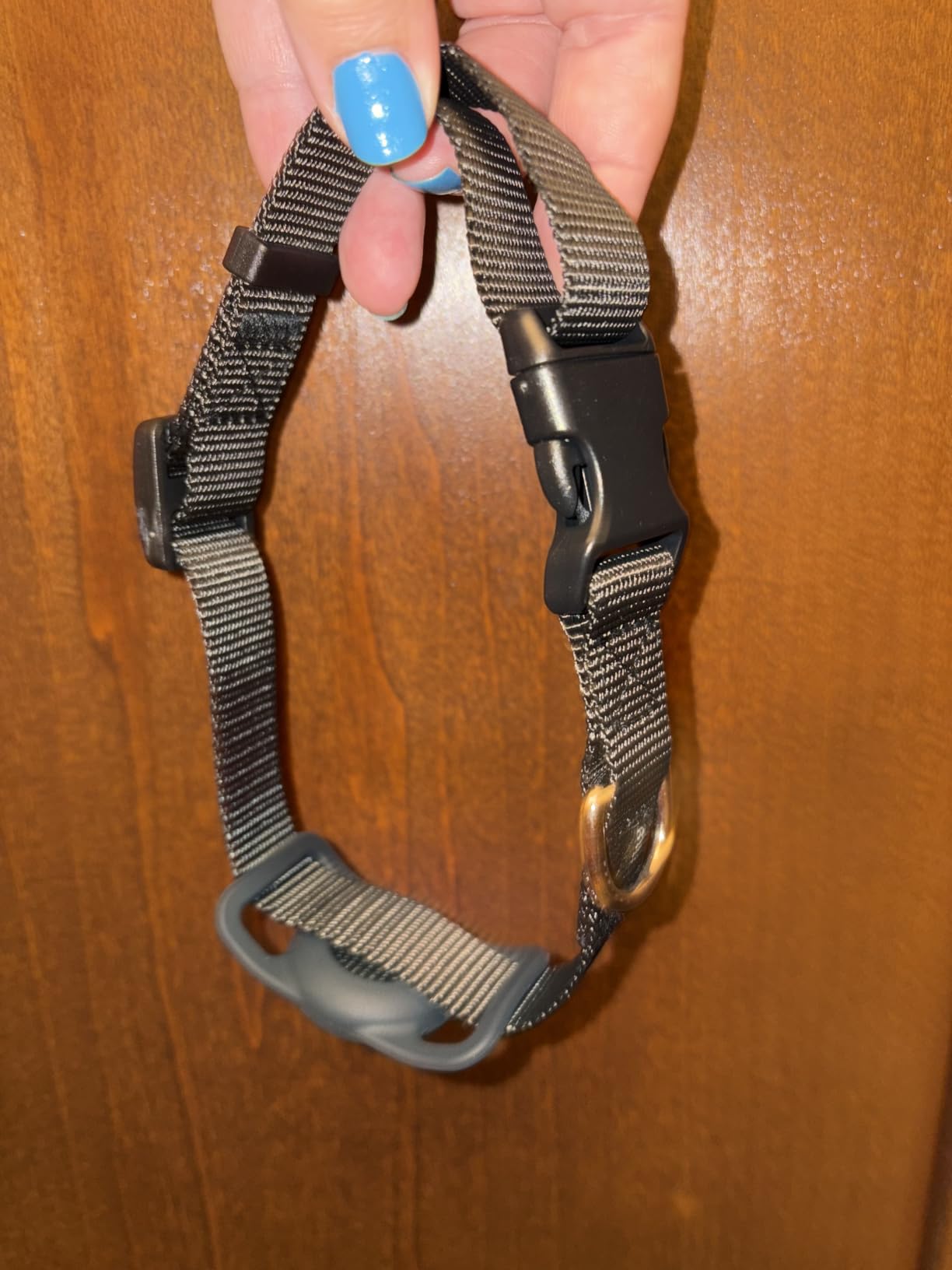 GPS Smart Collar for Dogs, Android Pet Tag. Waterproof, Google Find My Compatible, No Monthly Fee. Advanced Tracker ensures Safety for Small to Large Dogs. customer photo 2