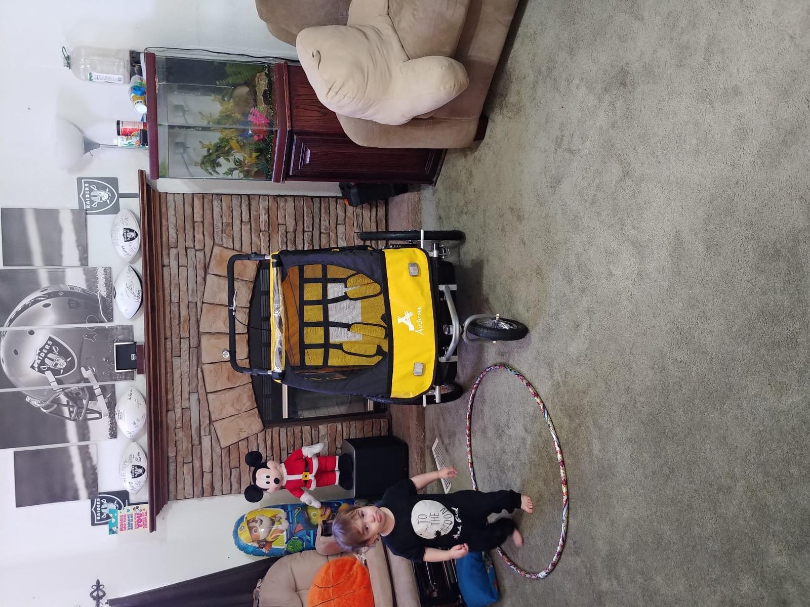 Aosom Elite 360 Swivel Bike Trailer for Kids Double Child Two Wheel customer photo 2