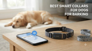 best smart collars for dogs for barking