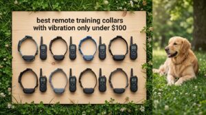 best remote training collars with vibration only under $100