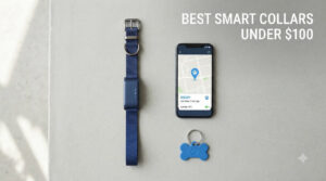 best smart collars under $100