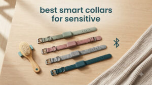 best smart collars for sensitive