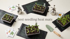 best seedling heat mats
