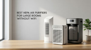 best hepa air purifiers for large rooms without wifi