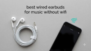 best wired earbuds for music without wifi