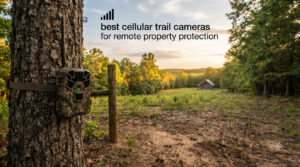 best cellular trail cameras for remote property protection