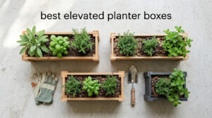 best elevated planter boxes