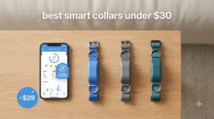 best smart collars under $30