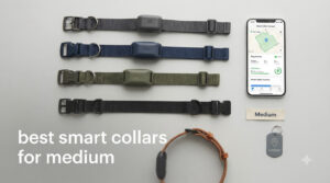 best smart collars for medium