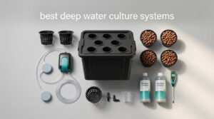 best deep water culture systems