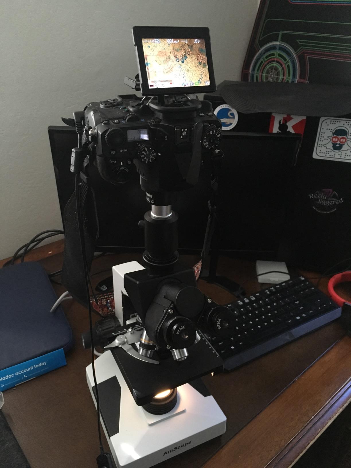 AmScope T490B Compound Trinocular Microscope, 2000X Magnification customer photo 2