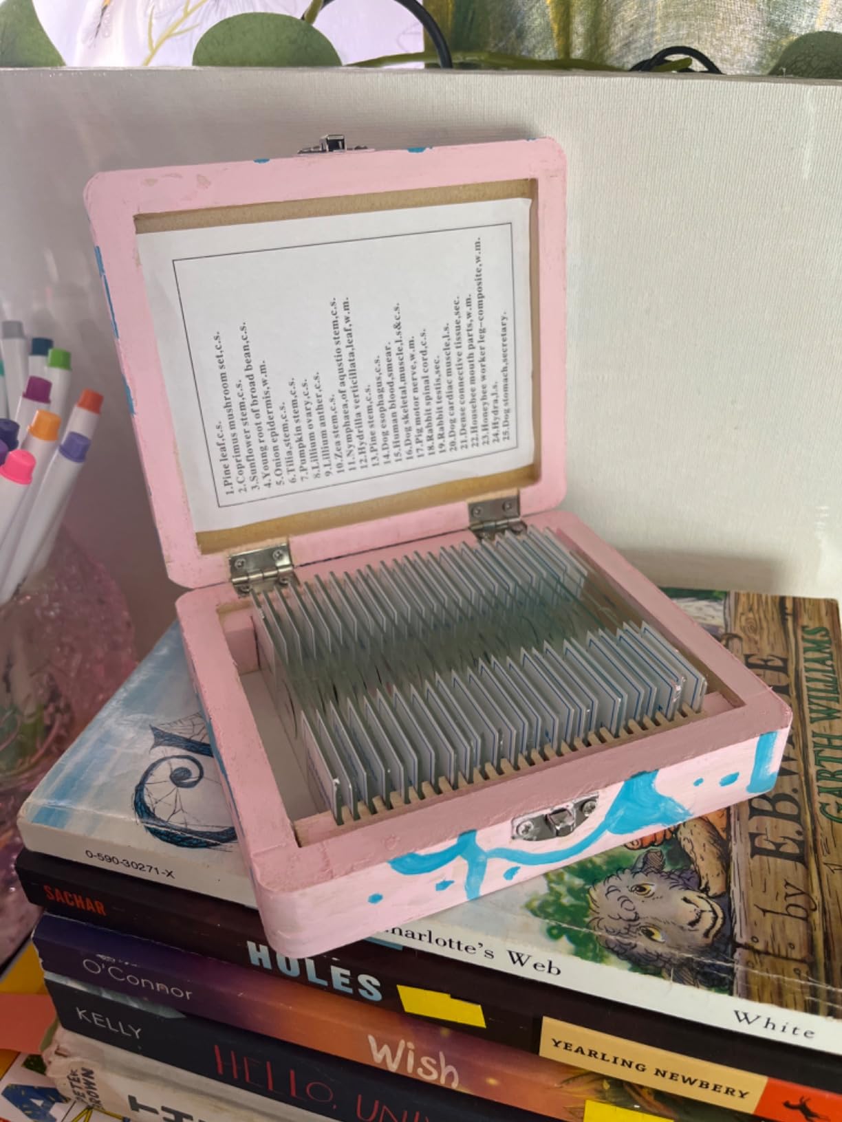AmScope PS25 Prepared Microscope Slide Set for Basic Biological Science Education, 25 Slides, Includes Fitted Wooden Case, Brown customer photo 2