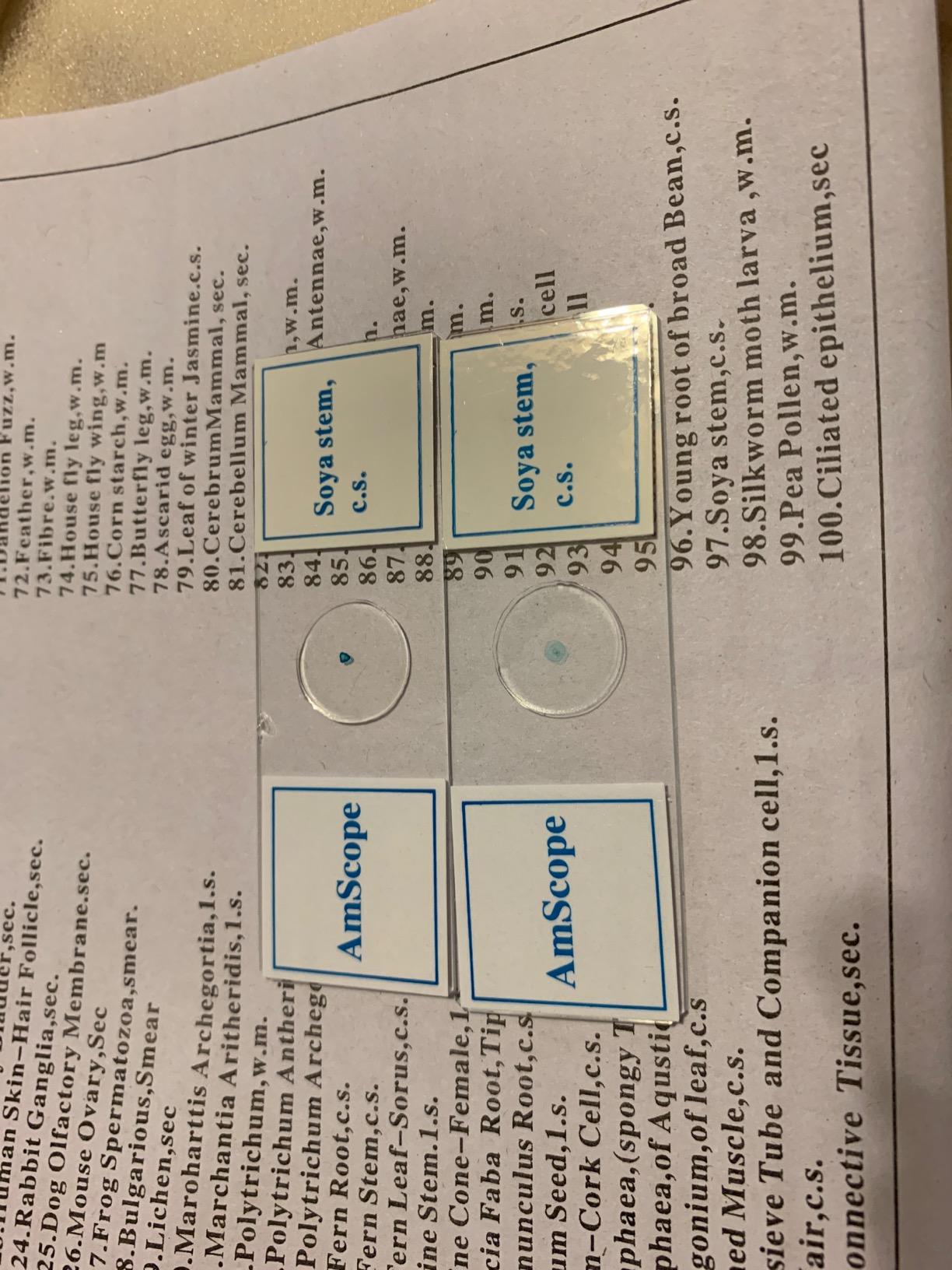 AmScope PS100A Prepared Microscope Slide Set, 100 Slides Set A customer photo 1