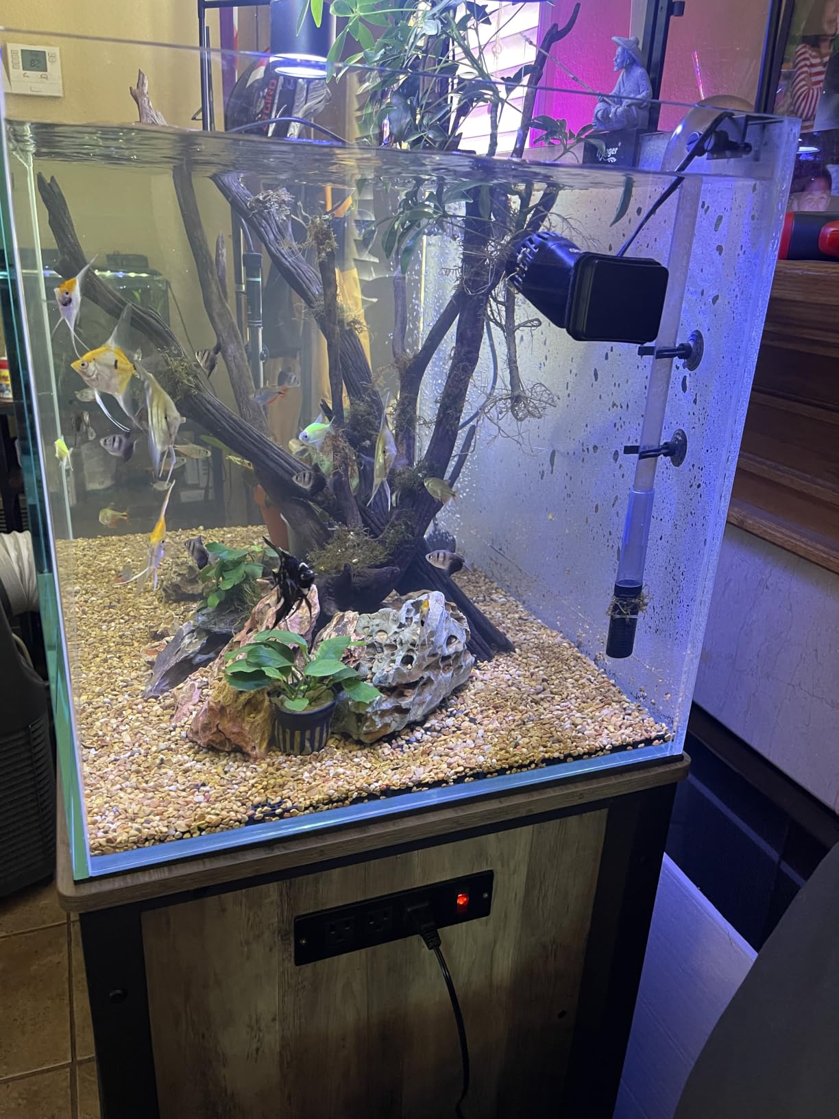 LANDEN Aquarium Cube 6.6 Gallon Ultra Clear Glass Rimless Fish Tank 30C customer photo 1