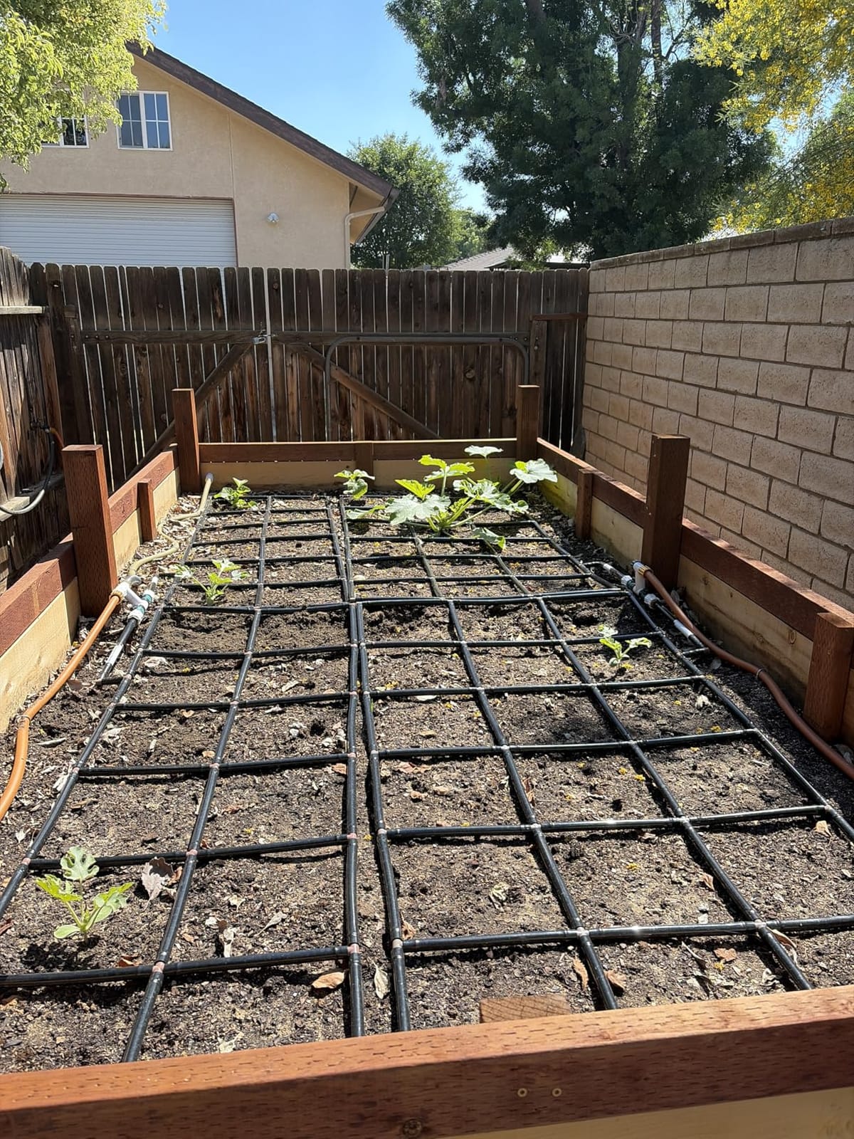 Garden Grid 2x4 | Garden Drip Irrigation System for Raised Beds | Pre-Built customer photo 1