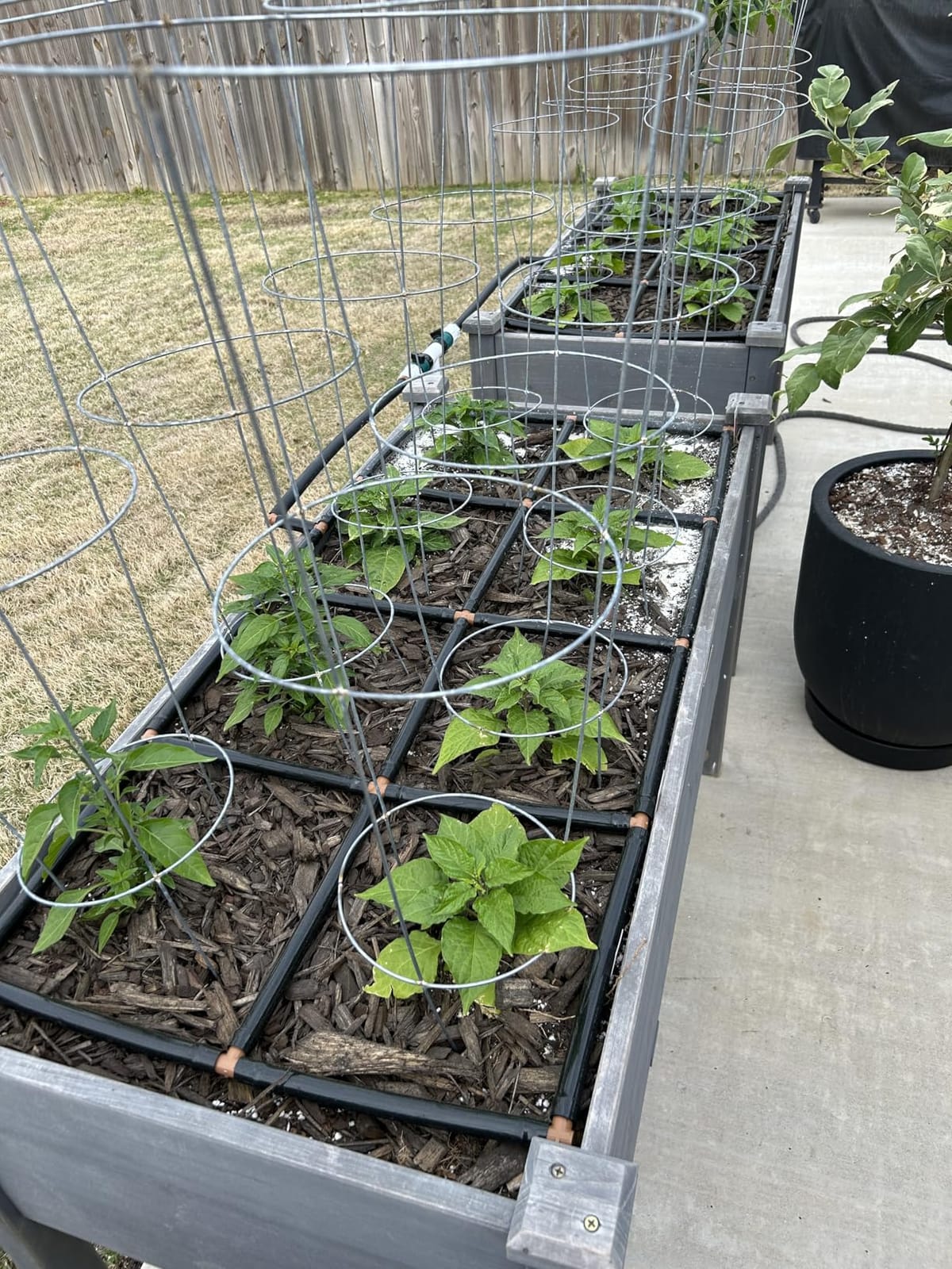 Garden Grid 2x4 | Garden Drip Irrigation System for Raised Beds | Pre-Built customer photo 2