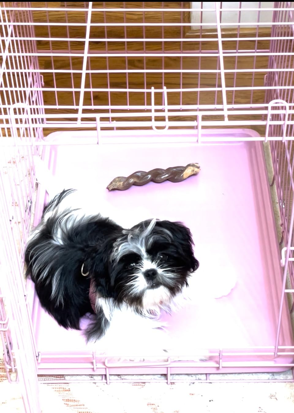 Carlson Pink Secure and Compact Single Door Metal Dog Crate, Small customer photo 2