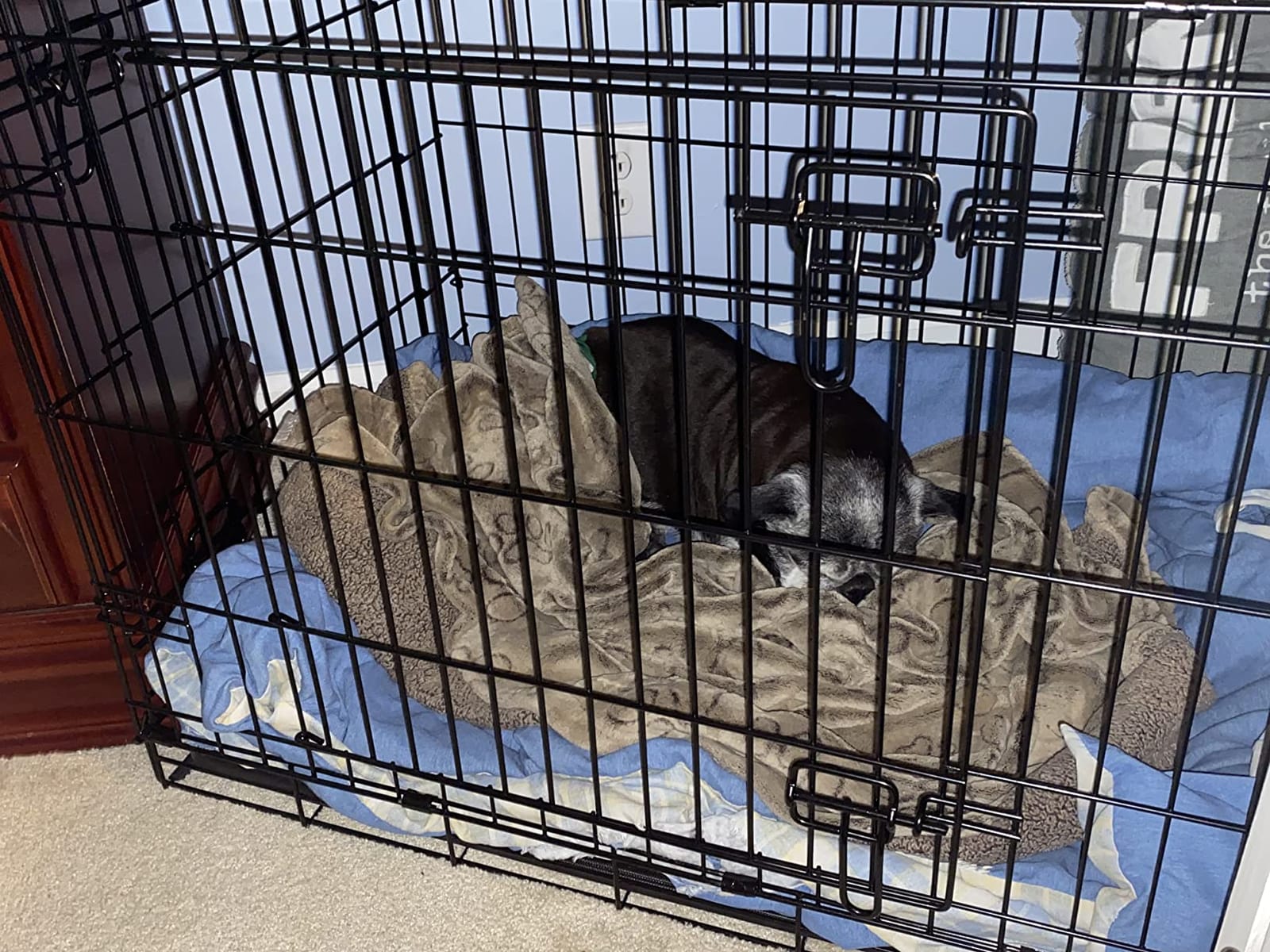 New World by Midwest 24-Inch Double Door Crate, for Small Breeds, 12-20 lbs customer photo 2
