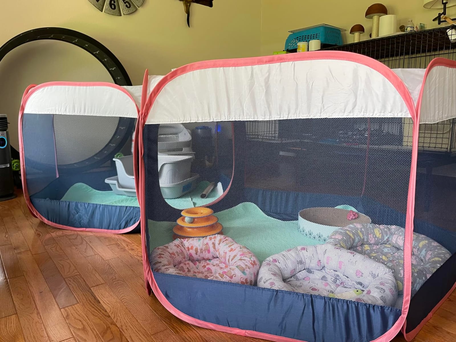 FurHaven Soft-Sided Dog & Cat Playpen, Portable Foldable Indoor & Outdoor Pet Playpen with Mesh Windows & Zippered Door, Gray, Extra Large customer photo 2