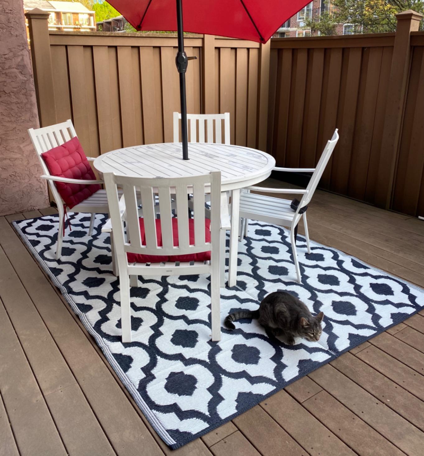 Outdoor Rug - 5x7 Sky Blue, Black, Grey, Reversible Recycled Plastic Straw Outdoor Patio Rugs Clearance Waterproof Large RV Camper Mats 287 customer photo 1