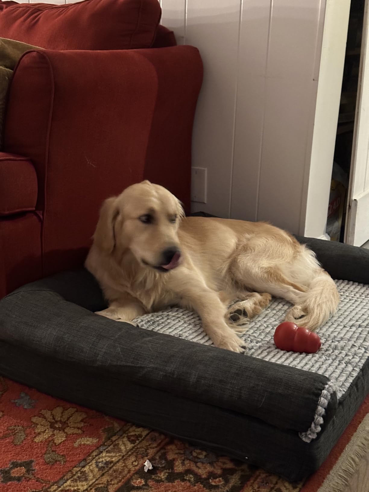 Furhaven Orthopedic Dog Bed for Large Dogs w/ Removable Bolsters & Washable Cover, For Dogs Up to 95 lbs - Plush & Suede Sofa - Gray, Jumbo/XL customer photo 1