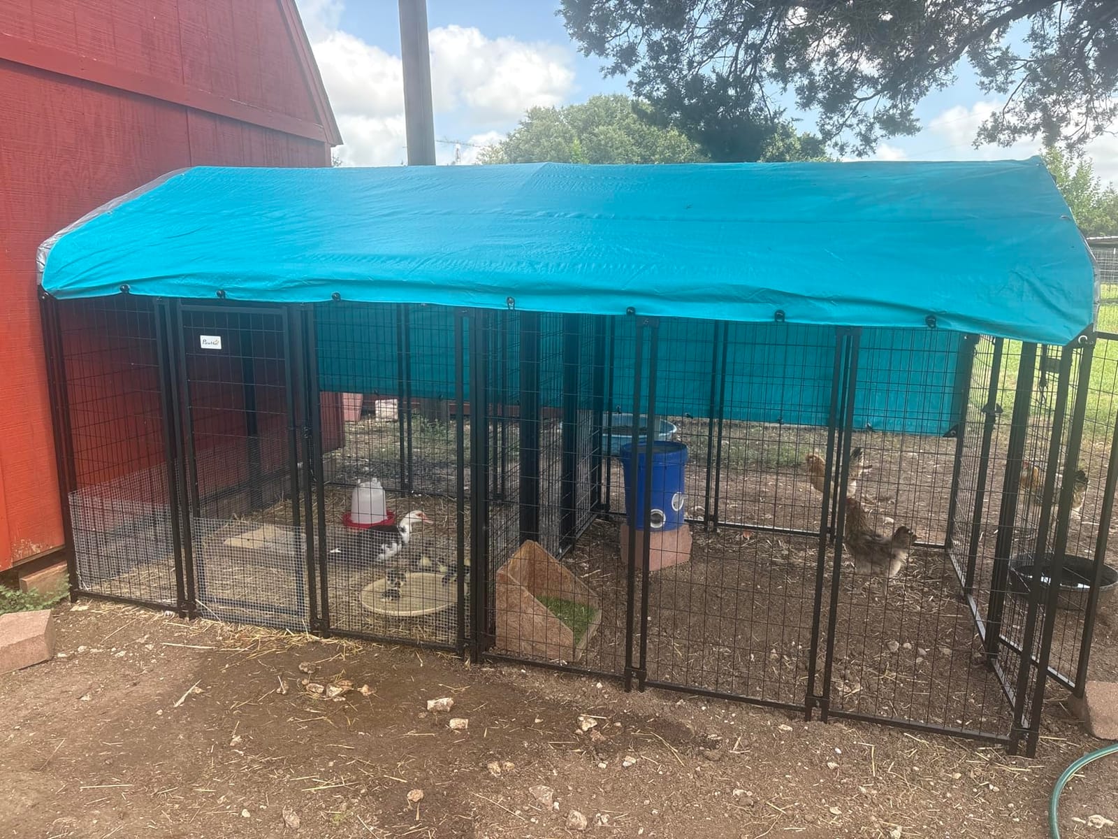 PawHut Outdoor Dog Kennel with Roof for Medium Dogs 8' x 4' x 6' Silver customer photo 2